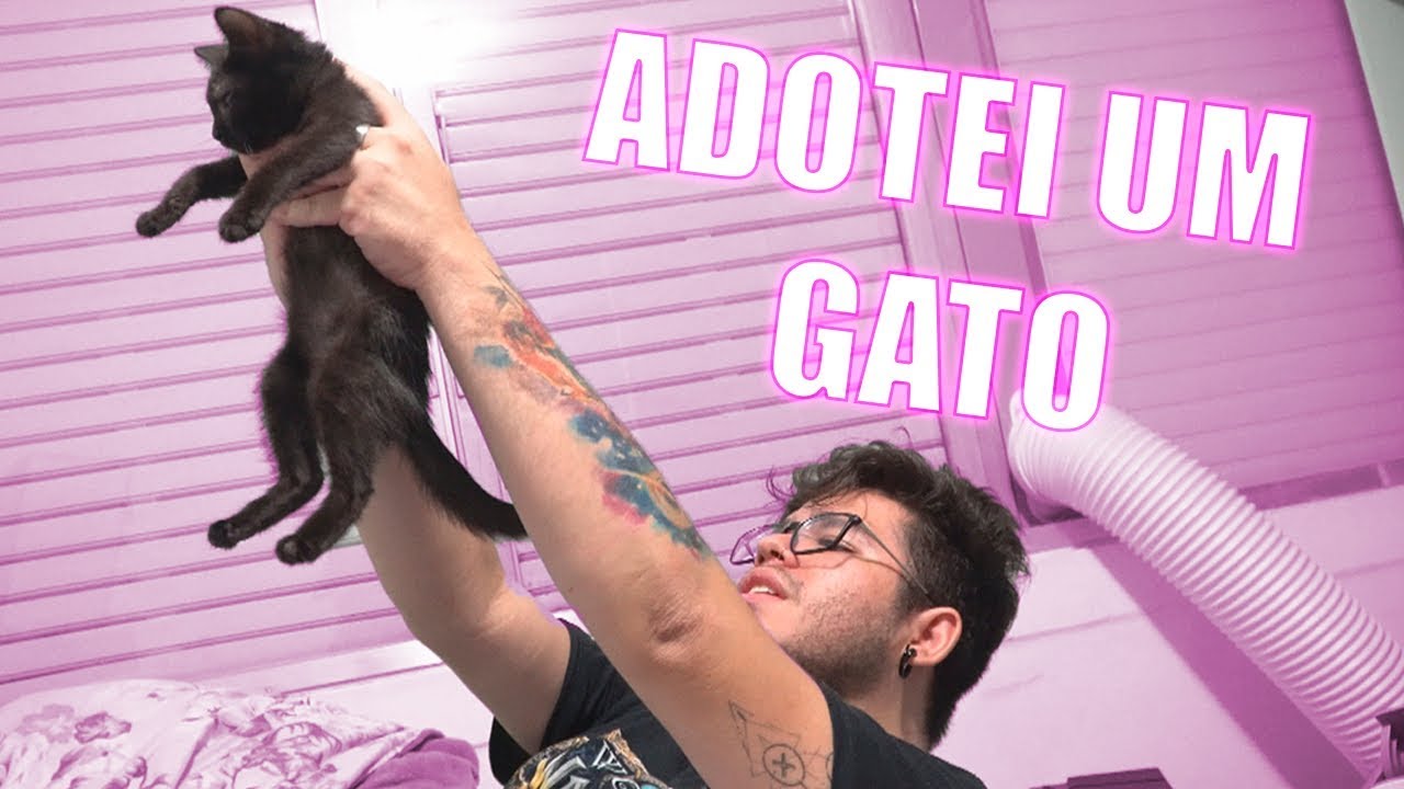 ADOTEI MEU PRIMEIRO GATINHO