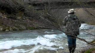 しらかば公園渓流１