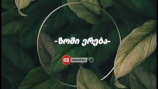 „ამოკით შეპყრობილი“  შტეფან ცვაიგი.