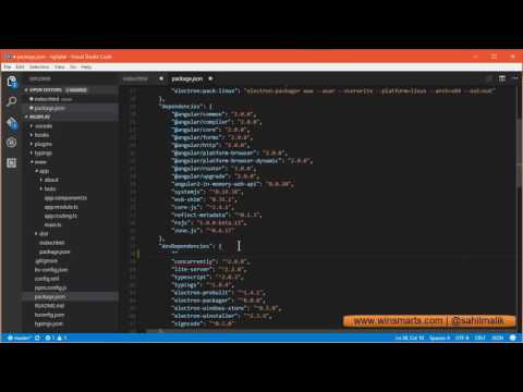 VSCode Package JSON