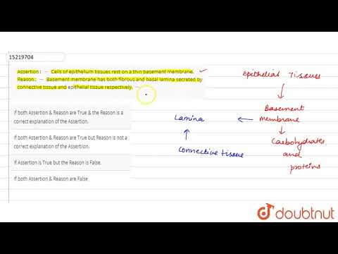 assertion`:-`-cells-of-epithelium-tissues-rest-on-a-thin-basement-membrane.-reason`:-`-basement