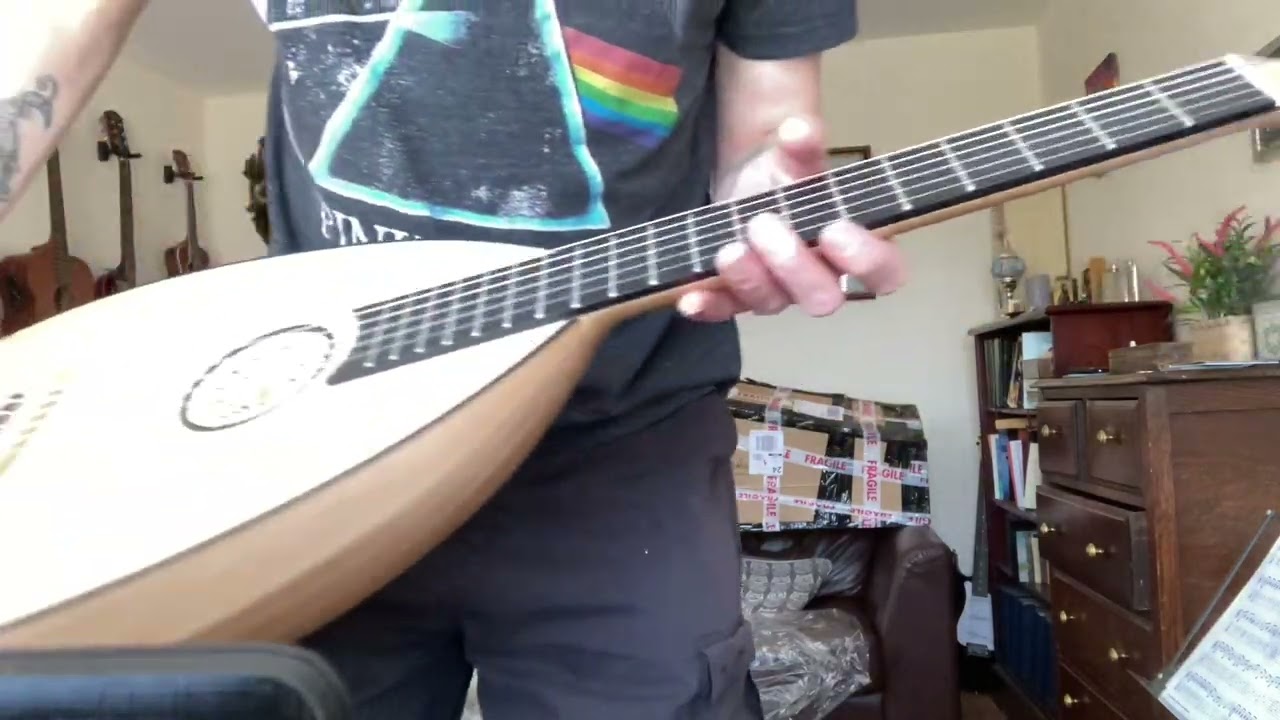 Lute Guitar from Muzikkon, quick review.