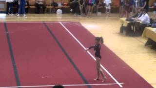 Dora Vulcan Ef Fx, Irina Paun Ef Vt2