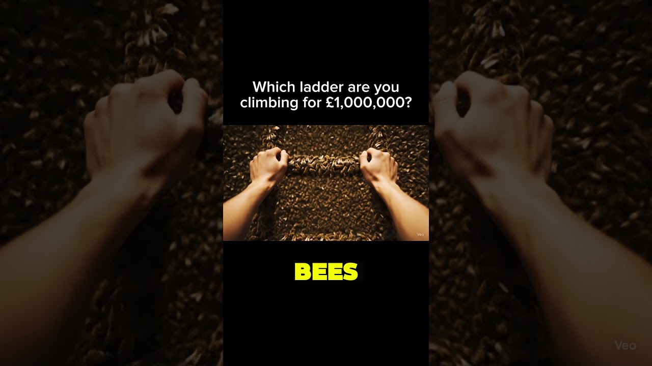 What Would You Choose? #ai