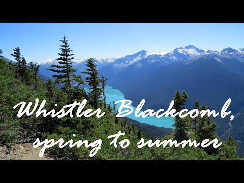 Wideo: 10 Rzeczy Do Zrobienia W Whistler-Blackcomb BESIDES Narciarstwo - Matador Network