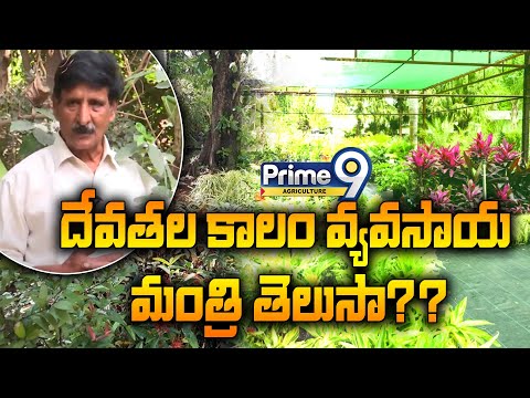 దేవతల కాలం వ్యవసాయ మంత్రి తెలుసా..? | Summer Vegetables To Grow At Home | Prime9 Agriculture