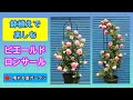 鉢植えで楽しむ♪ピエールドロンサール