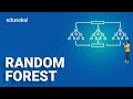 Random Forest Algorithm  Random Forest Complete Explanation  Data Science Training  Edureka