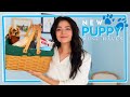 New Puppy Must Haves // What I Bought for My Puppy// JOANNA