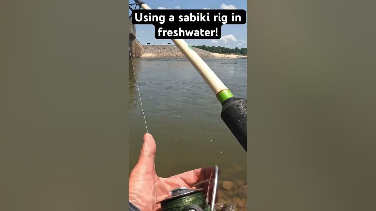 Sabiki In freshwater! #fishing #arkansas #nature #outdoors #viralvideo  #fish 