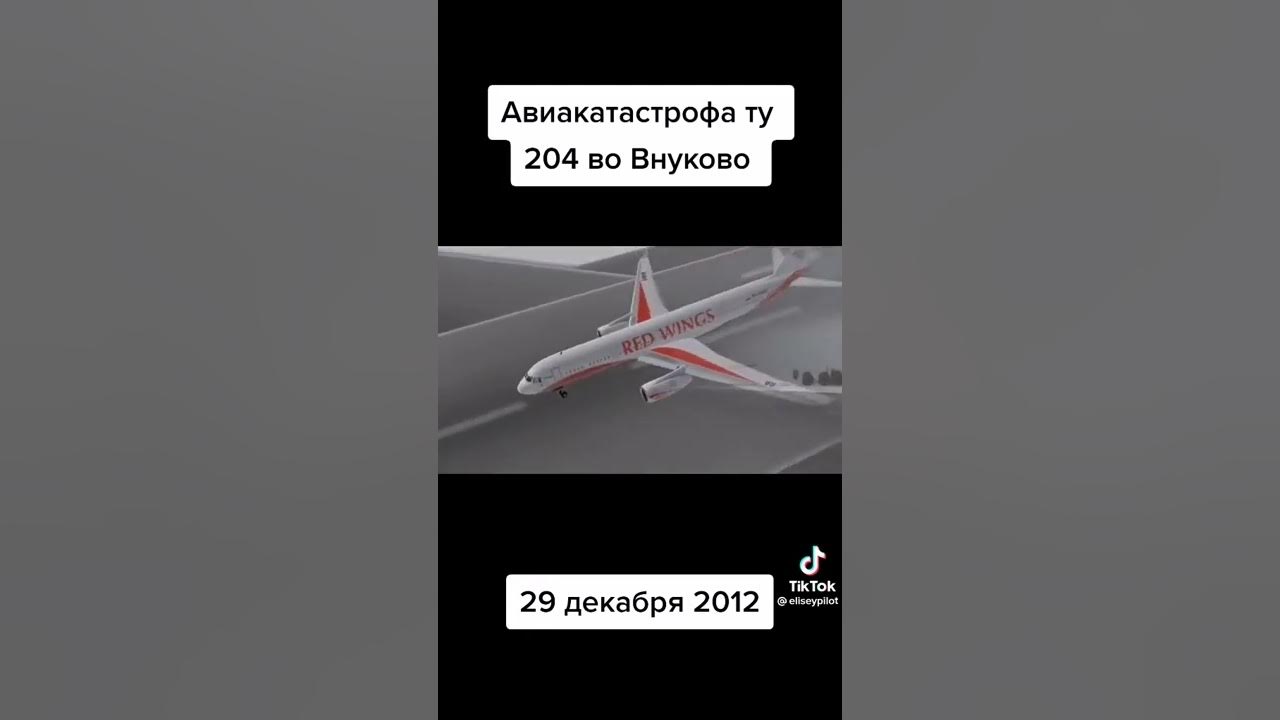 Авиакатастрофа 2012. Авиакатастрофа ред Вингс Внуково. Ту-204 ред Вингс катастрофа во Внуково. Авиакатастрофа ту-204 во Внуково 29 декабря 2012. Авиакатастрофа во Внуково 29.12.2012.