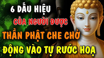 ĐỘNG VÀO RƯỚC HOẠ - 6 DẤU HIỆU CỦA NGƯỜI ĐƯỢC, THẦN PHẬT CHE CHỞ | Đóa Hoa Thiện Lành