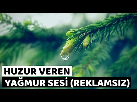 Huzur Veren Rahatlatıcı REKLAMSIZ 8 SAATLİK|Yağmur Sesi Videosu