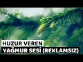 Huzur Veren Rahatlatıcı REKLAMSIZ 8 SAATLİK|Yağmur Sesi Videosu Mp3 Song