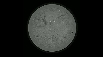 [video 15] CT-scan slices trough z-axis, Lippenbroek, 60 cm deep, triplicate B