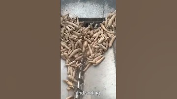 Root Processing Machine – Good Tools and Machinery Can Increase Work Efficiency