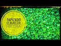 Tapizado con trepadoras