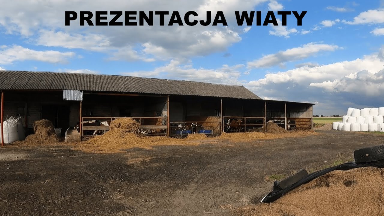 prezentacja kojców dla bydła
