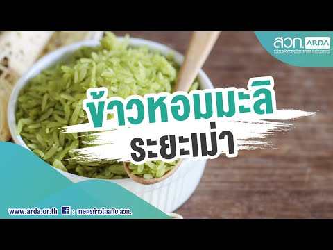 ข้าวหอมมะลิระยะเม่า ข้าวอัจฉริยะบำรุงสมอง | ARDA Talk | สวก.