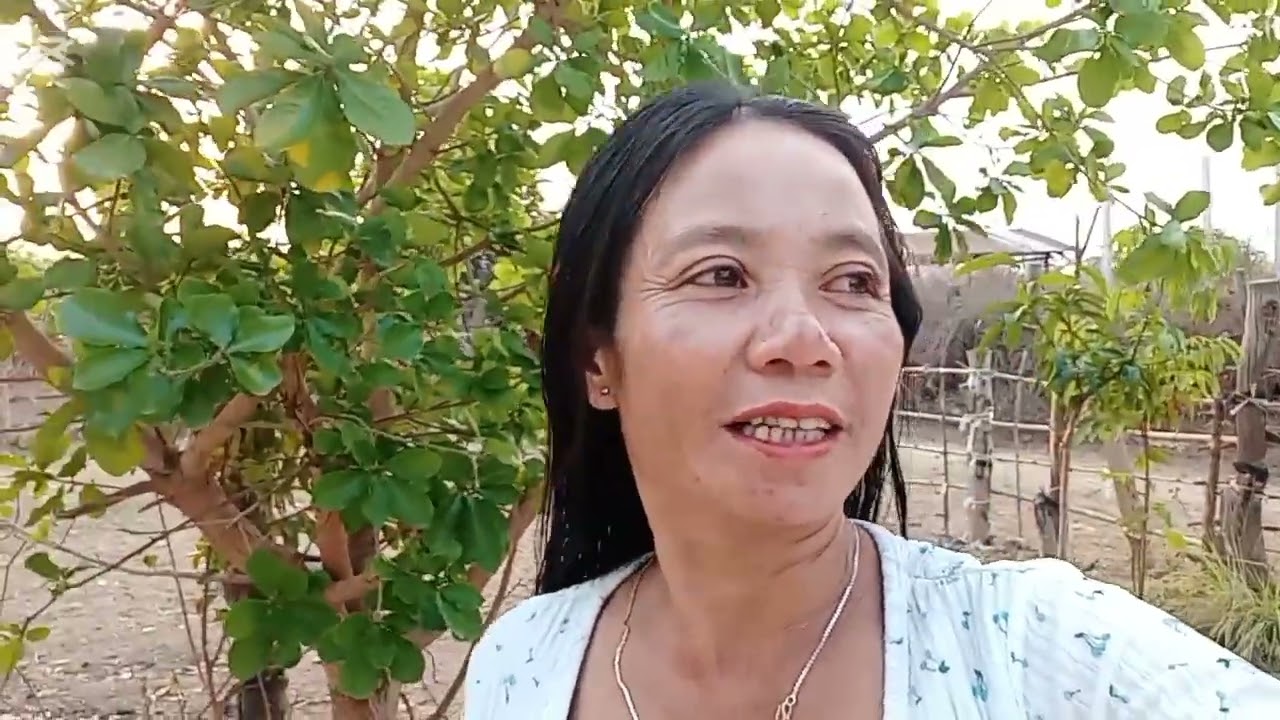  มาตัดอ้อยอีกแล้ว