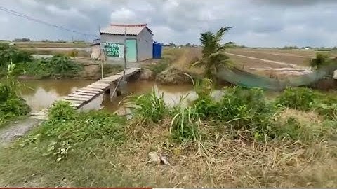 bán 8000m/8công đất ruộng gần khu du lịch sinh thái gió biển gò công đông lh 0789530690