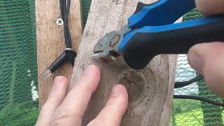 Pt2 removing staples from electrical cable without damaging the cable.