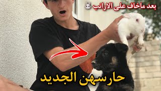 وأخيرًا چبت الكلب الي راح يحمي كل حيواناتي 🔥