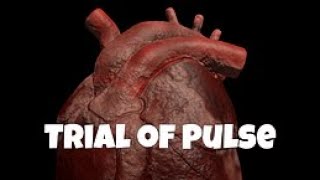 Trial of Pulse (Steam VR game)