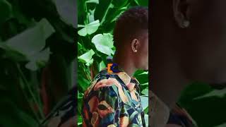 Cludio Fnix Ft Anna Joyce melanclica By edmilsoncole258lirycsstatus