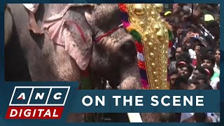 Look Big Crowds And Elephant Parade As South Indian City Celebrates Hindu Festival Anc