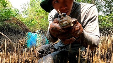 Cắm Câu Cá Thòi Lòi Một Ngày Bội Thu | Gia Đình Cần Giờ |