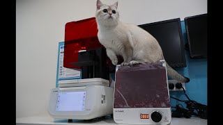 Edge mini Dental Printer: Dual-Platform + Lab-Grade Precision, One-Step Chairside Digitalization