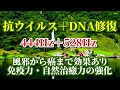 【 444Hz ＋ 528Hz 】 抗ウイルス ＋ DNA修復　風邪から癌まで効果あり　免疫力・自然治癒力の強化