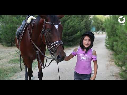Video: Atlarda Gıda Dışı Maddelerin Yenilmesi