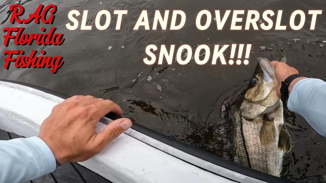 Catching SLOT and OVERSLOT Snook in South Florida using ARTIFICIALS!!!