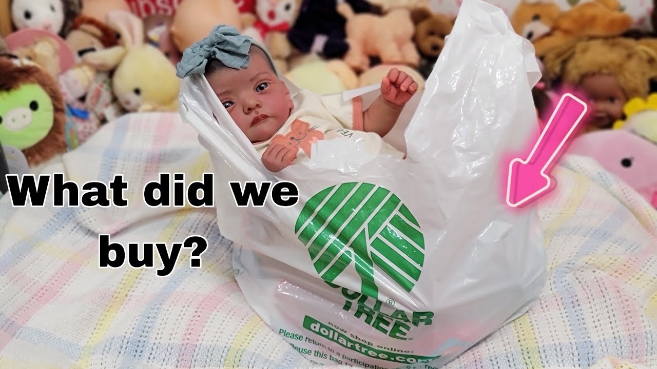 Dollar Tree Haul What Did We Get? New Items For The Reborn Babies
