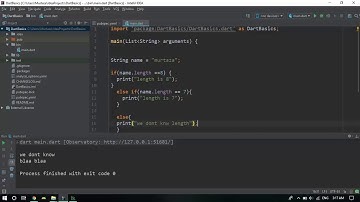 Flutter Tutorials Part 3 IF ELSE Statement And Switch Case