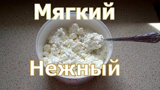 Творог из козьего молока