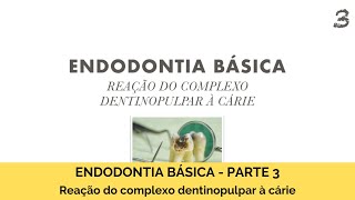 Endodontia básica - parte 3 | reação do complexo dentinopulpar à cárie