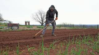 ASMR | Vegetable Garden at Monticello 90 Minutes by Thomas Jefferson's Monticello 478 views 1 month ago 1 hour, 29 minutes