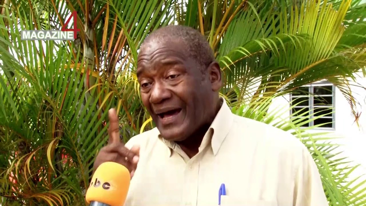 Hans Breeveld: Uitspraken Stef Blok een belediging voor Suriname ||  Magazine-4 - YouTube