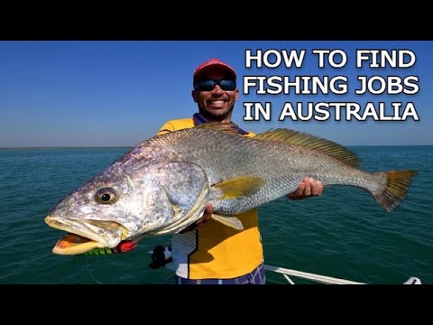 way to find fishing job in australia #fishing #jobs #job 