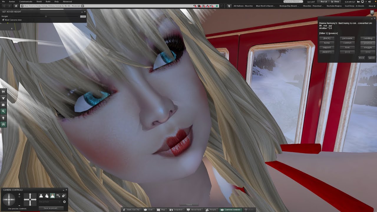 1  Wednesday at Blue Finch Frosty Hollow in Second Life