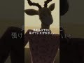 「俺の名前はメロン」/アニメ『BEASTARS FINAL SEASON』#6　春生まれのあいつ