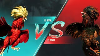 (RTX 3080 - 4K) Cock fighting - Đá gà Farcry 6 screenshot 3