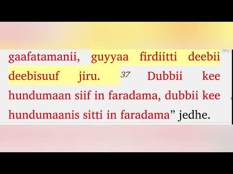 168 Wangeela Maatewos Boqonnaa 11 Hanga 15