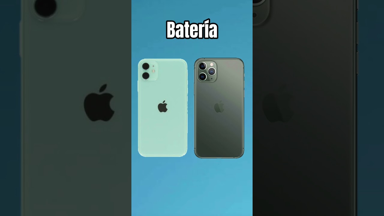 iPhone 11 Pro VS iPhone 11  