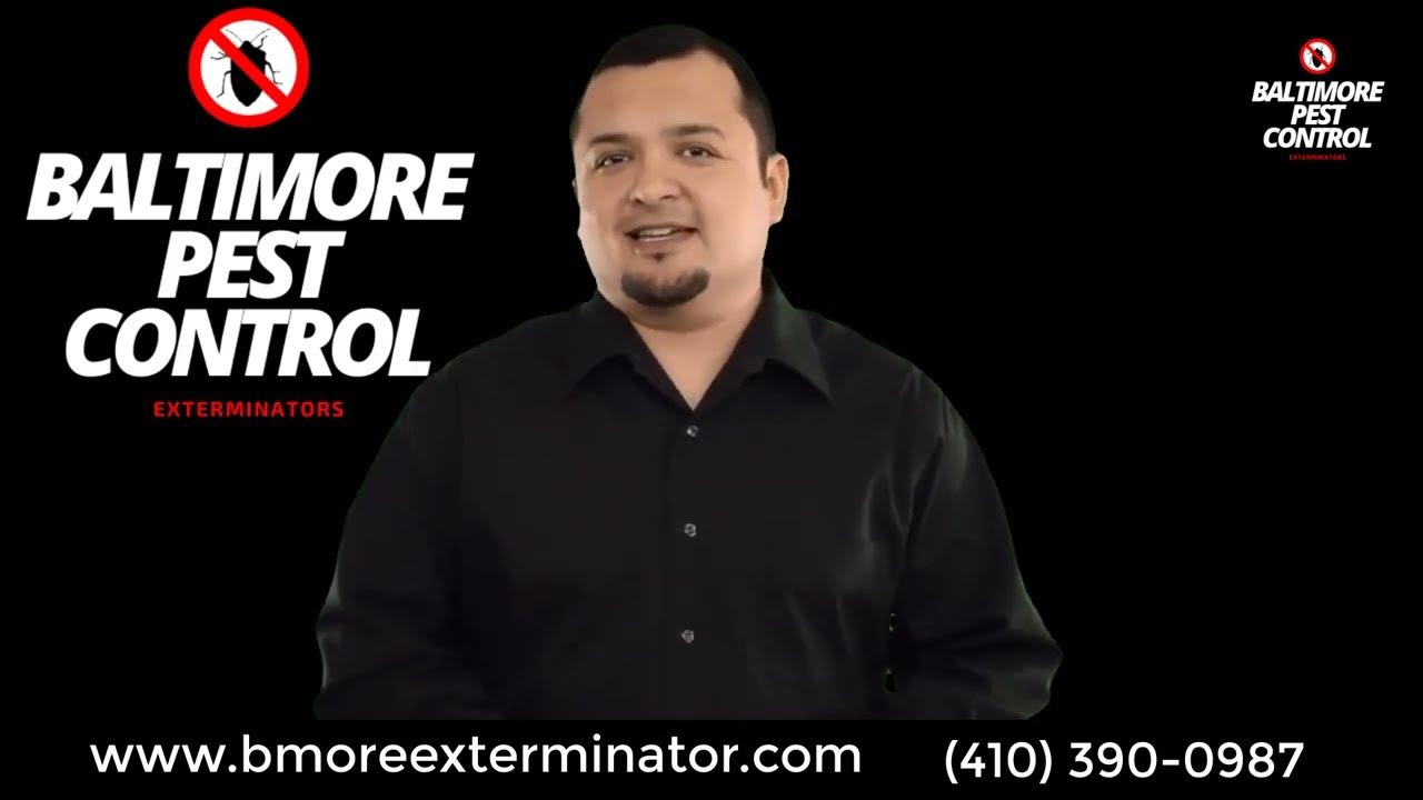 Baltimore Pest Control Exterminators Testimonial YouTube