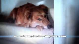 Franks The Flooring Store Tv Advert Sd