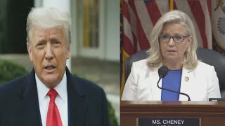 Trump faces backlash over violent Cheney statements, Harris calls his comments is 'disqualifying'